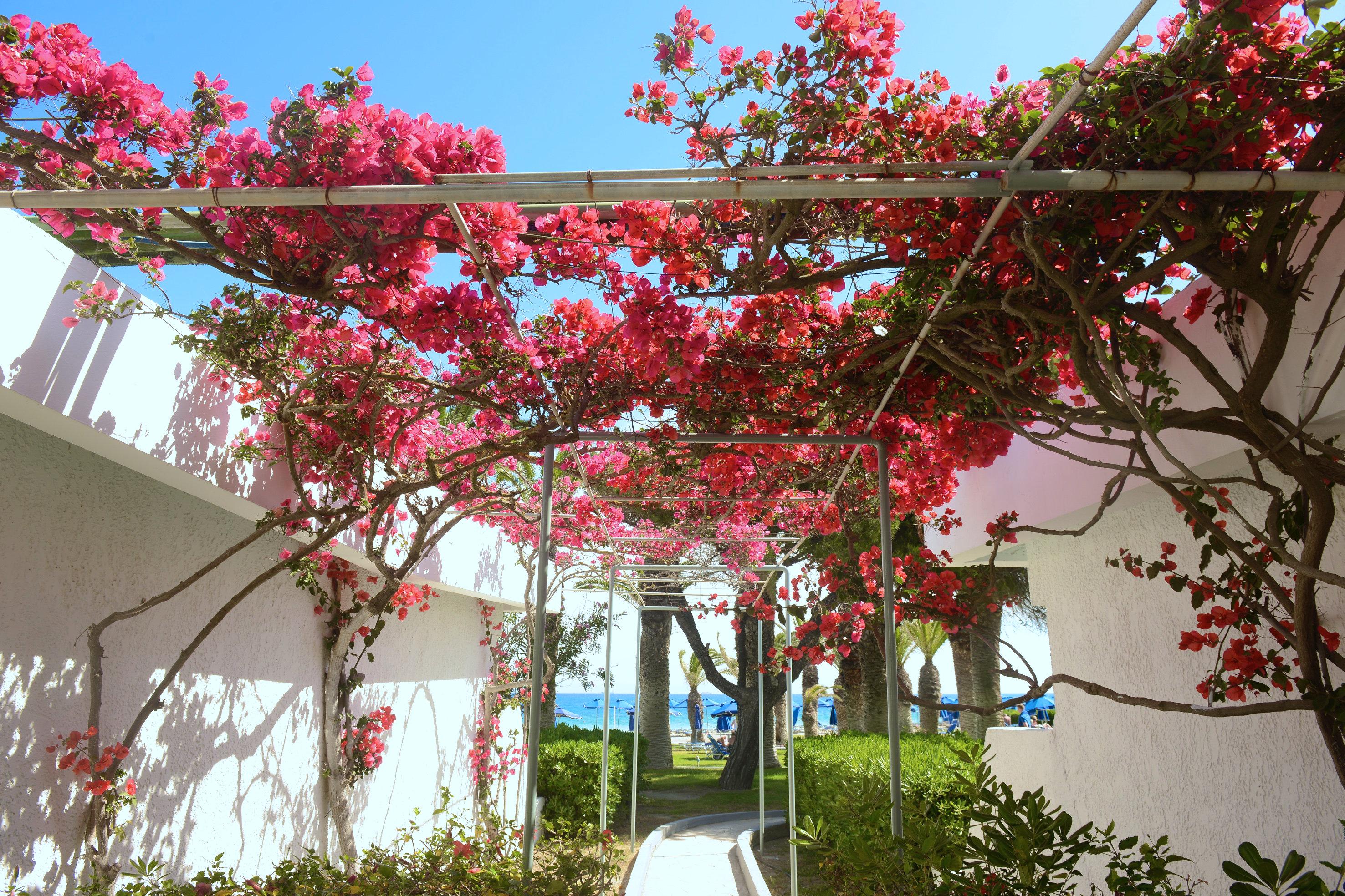 Hotel Blue Horizon Ialisos Exterior foto